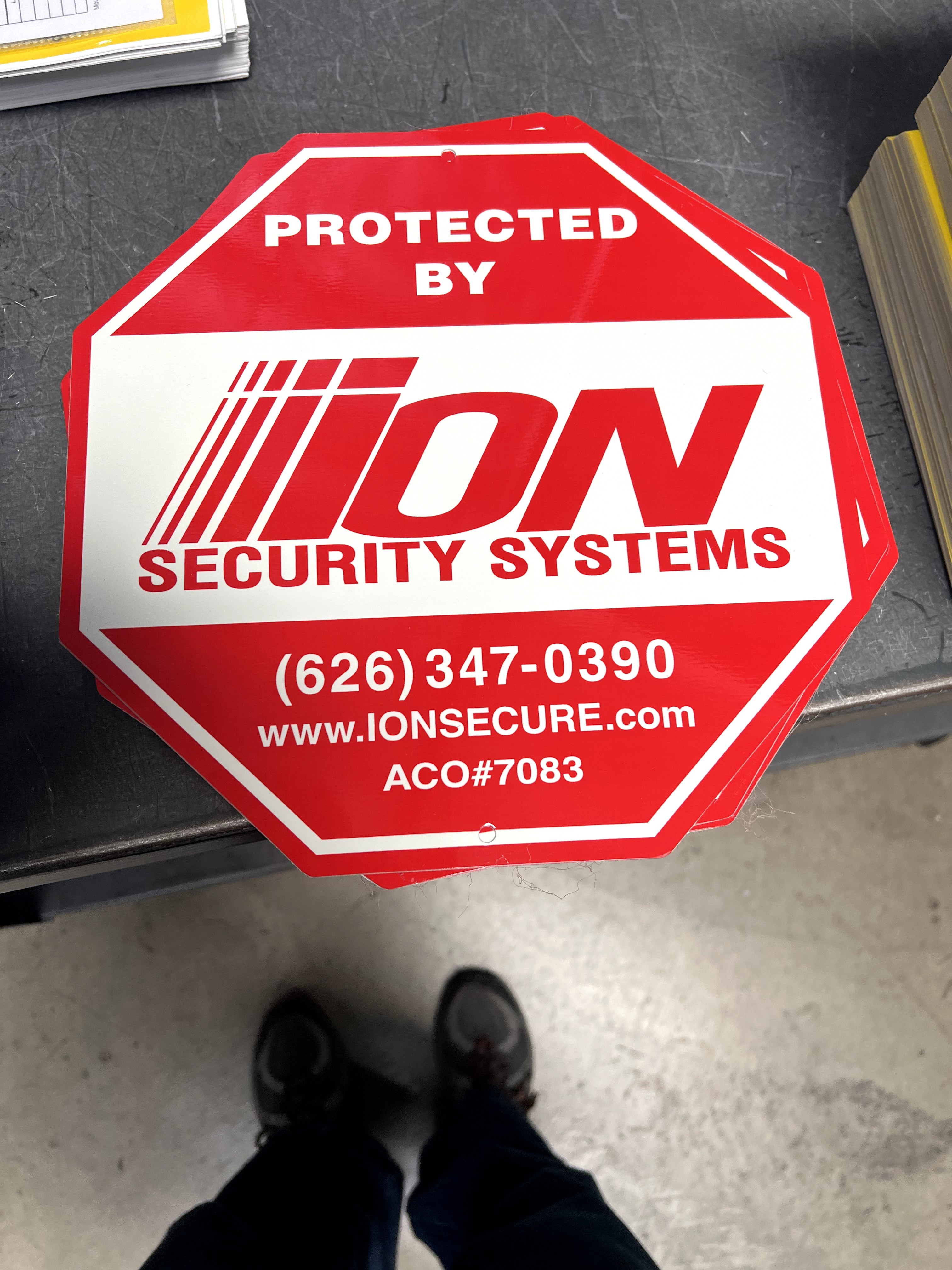 ION SECURITY SYSTEMS